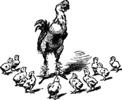 coq et poussins, ancien illustration vecteur