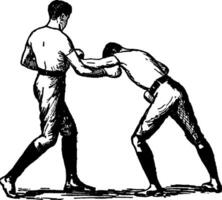 illustration vintage de boxe. vecteur