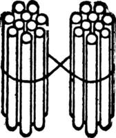 2 liasses de Dix des bâtons, ancien illustration vecteur