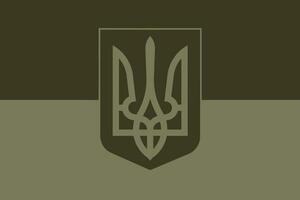 ukrainien militaire drapeau avec manteau de bras vecteur