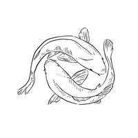 une ligne tiré illustration de deux koi carpe poisson - main dessiné, ces poisson sont souvent conservé comme coûteux animaux domestiques et sont célèbre dans le asiatique Régions. vecteur
