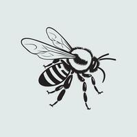 abeille illustration vecteur, conception, art et logo vecteur