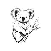 koala logo vecteur art, Icônes, et graphique