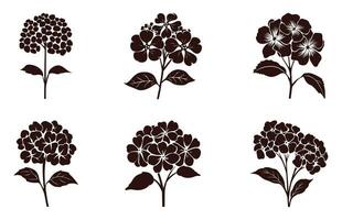 hortensia fleur silhouette vecteur ensemble, hortensia fleurs clipart paquet