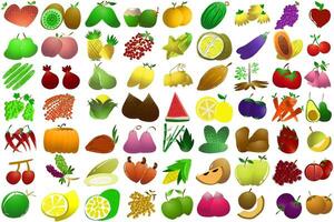 illustration de les types de fruit. parfait pour éléments de livres de cuisine, les magazines, journaux, présentations, La publicité vecteur
