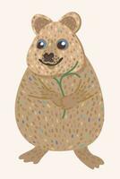 quokka. petit marrant australien sauvage animal. vecteur isolé illustration