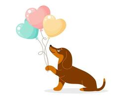mignonne chien teckel personnage avec cœur en forme de des ballons. anniversaire carte. dessin animé style, vecteur