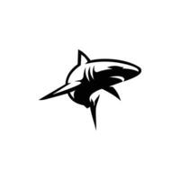 requin logo vecteur icône illustration