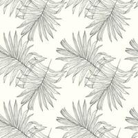 tropical paume feuilles sans couture vecteur illustration modèle Contexte. conception pour utilisation tout plus de en tissu impression emballage papier et autres.