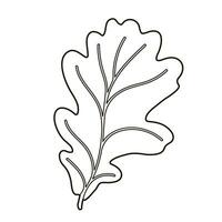 vecteur image silhouette de une réaliste forme de chêne partir. saisonnier décoratif Contexte