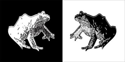 illustration vecteur graphique de grenouille icône