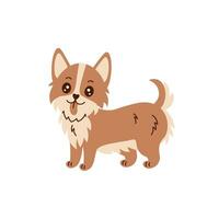 gallois corgi vecteur illustration dans dessin animé style