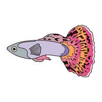 dessin animé vecteur illustration guppy poisson icône isolé sur blanc Contexte