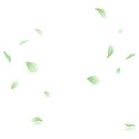 vecteur vert feuille vecteur panoramique sur blanc Contexte