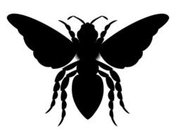 abeille insectes faune animaux vecteur illustration