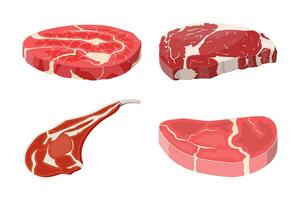 Viande steak collection. vecteur