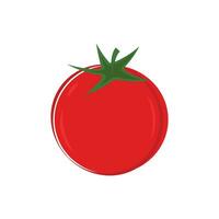 tomate sur fond blanc. illustration vectorielle de tomate fraîche. vecteur