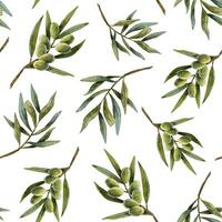 vert olive arbre branches avec feuilles et des fruits aquarelle sans couture modèle Contexte. main tiré Olives botanique illustration pour produit conception, imprimer, tissus et emballage vecteur