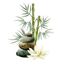 blanc lotus fleur avec bambou et équilibré des pierres vecteur