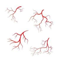 illustration de conception d'icône de symbole de vecteur de veine humaine
