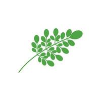 moringa logo vecteur modèle symbole la nature