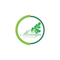 moringa logo vecteur modèle symbole la nature
