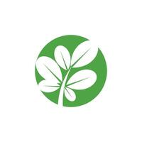 moringa logo vecteur modèle symbole la nature