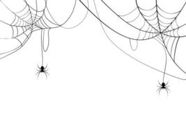 noir araignée et araignée la toile. effrayant toile d'araignée de Halloween symbole. isolé sur blanc Contexte. vecteur illustration