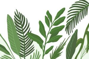 tropical feuilles isolé sur une blanc arrière-plan, dessiné à la main plat des illustrations vecteur