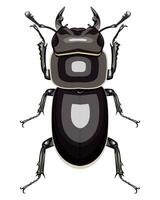 isolé décoratif image de cerf scarabée sur blanc Contexte vecteur