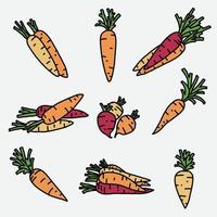 doodle dessin à main levée de la collection de légumes carottes. vecteur