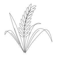 oreille de paddy riz isolé sur blanc Contexte. icône vecteur