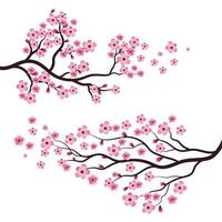 icône de vecteur de fleur de beauté sakura