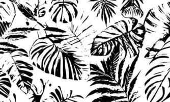 grunge détaillé noir abstrait texture. tropical feuilles. vecteur Contexte