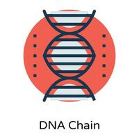 branché ADN spirale vecteur