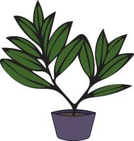 plante d'appartement clipart. plante dans le pot vecteur