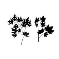 vecteur main tiré feuilles silhouette illustration