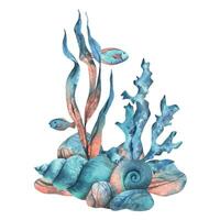 sous-marin monde clipart avec mer animaux des poissons, coquilles, corail et algues. main tiré aquarelle illustration. ensemble de isolé objets sur une blanc Contexte vecteur