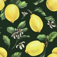 citrons sont jaune, juteux, mûr avec vert feuilles, fleur bourgeons sur le branches, entier et tranches. aquarelle, main tiré botanique illustration. sans couture modèle sur une vert Contexte vecteur