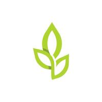 logos de l'écologie des feuilles d'arbre vert vecteur