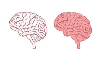 cerveau. cerveau image dans dessin animé et linéaire style. le Humain cerveau. vecteur illustration isolé sur une blanc Contexte