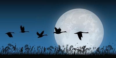 silhouette d'herbe avec la pleine lune vecteur