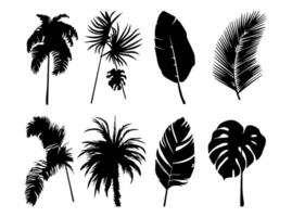 ensemble de noir silhouettes de feuilles et fleurs. vecteur illustration.