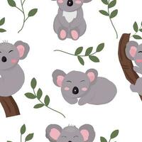 mignonne main tiré australien koala sans couture modèle vecteur