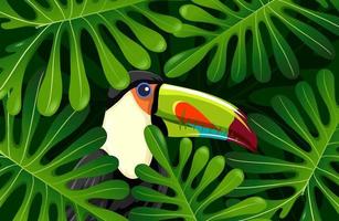 oiseau toucan caché dans la jungle vecteur