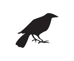 silhouette d'un corbeau vecteur