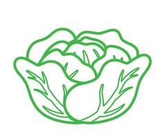 chou légume dans ligne icône logo Animé dessin animé vecteur dans main dessin griffonnage illustration