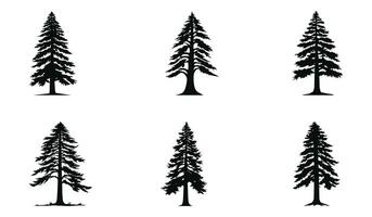 tranquille séquoia forêt éléments vecteur