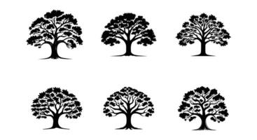 arboricole harmonie chêne arbre silhouette compilation vecteur