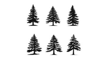 rustique pin arbre clipart paquet vecteur